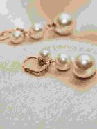Pearl Earring — 1